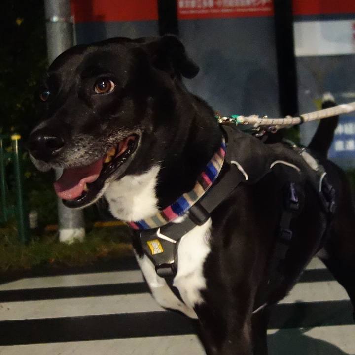 14adf6e9 c644 4b96 90c2 16dbcae0b724 1665140428667