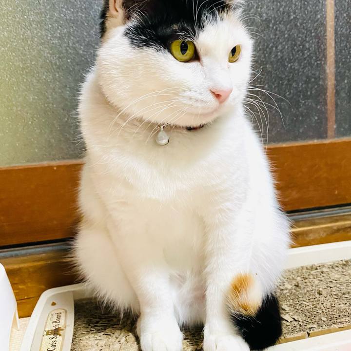 14ae2219 2a39 4222 a43b 29798c8b7eed 1677937904751