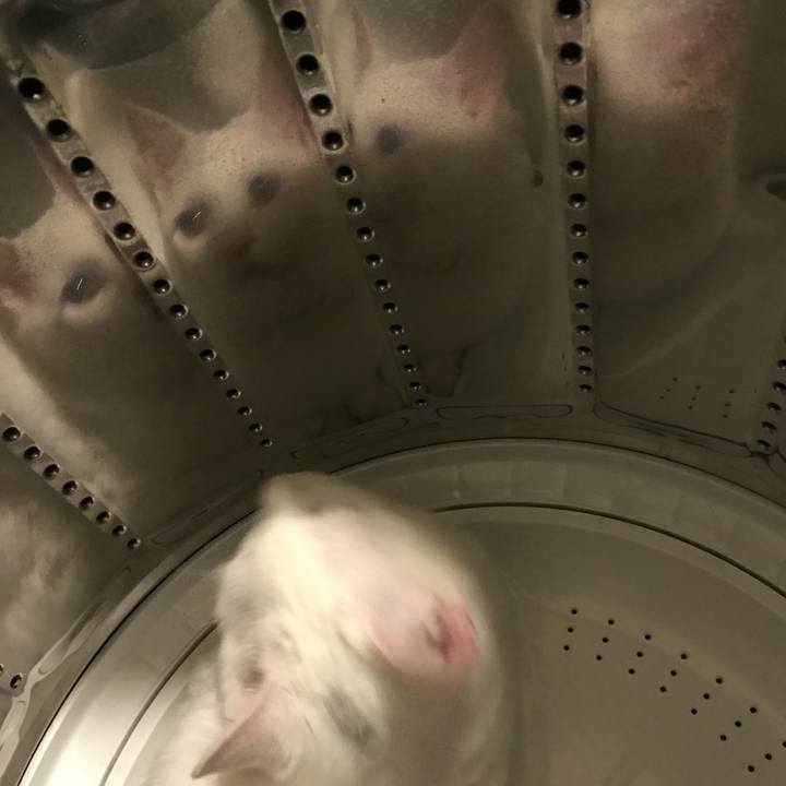 14ae6633 4a95 422a 9219 b32f57f50f0d 1516939212825