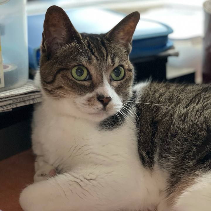 14aeb371 541b 4378 8958 24c7adfa0606 1627948997732