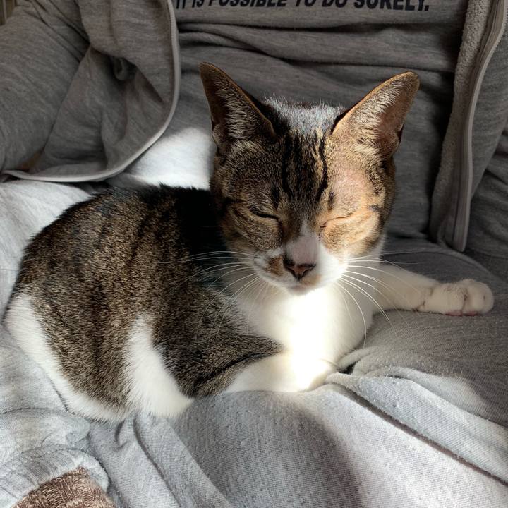 14aed6ab 2bce 4f42 88d0 750ebab7d9f8 1542330470527