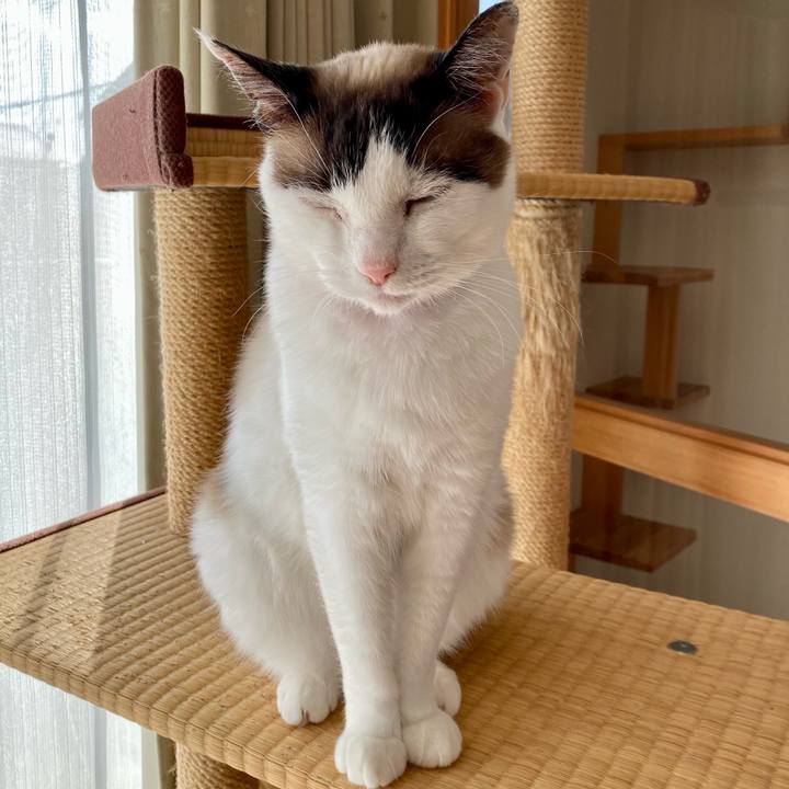 14af078c 8e6f 4230 929f 3a33dac575a4 1646697750954