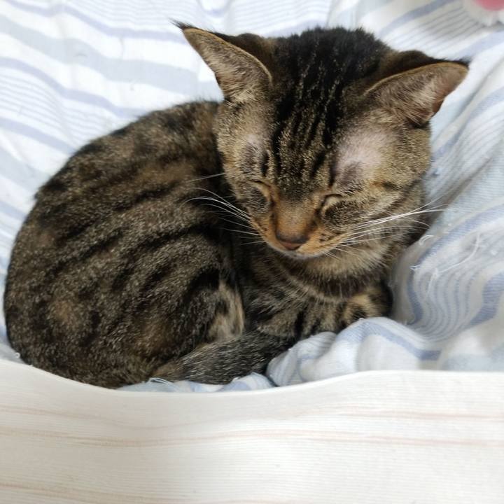 14af1417 ee1a 4cb4 aa95 301e81655a56 1573161249096