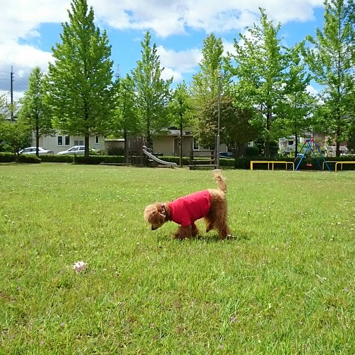 14af2a7e cece 4a5c 82a1 563073c9a8c2 1529115403495