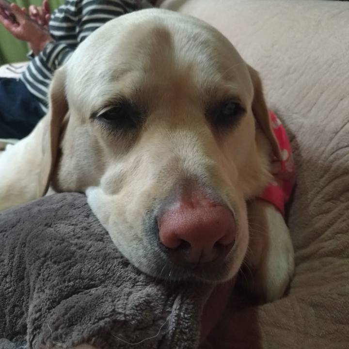 14af4d7d fe9a 4516 bc80 d6271bb5ddec 1590404523537