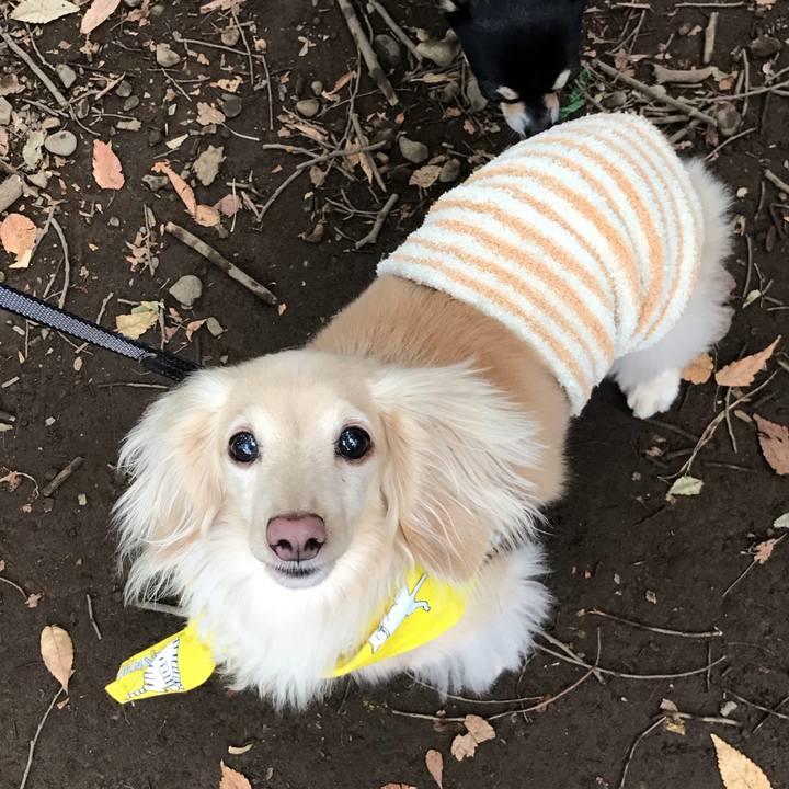 14af5b35 8917 48f2 aee5 726de834e72b 1509173803233