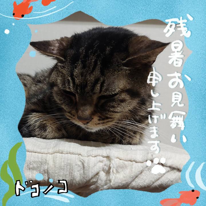 14af6c31 b684 44b7 b6d3 3003684fa953 1723240659759