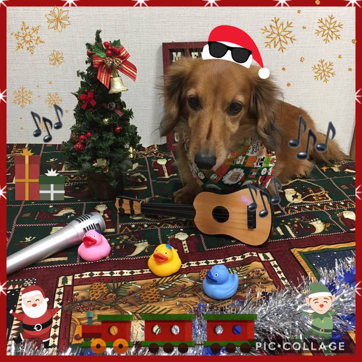 14af82c2 65b4 45c1 84fb 8fba13208b33 1545567328815