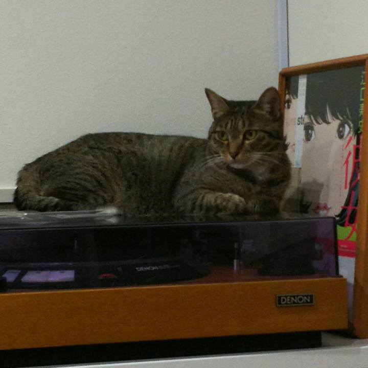 14af8a1d 27ea 47a9 9a3d 1a42dea4bb40 1532617632193