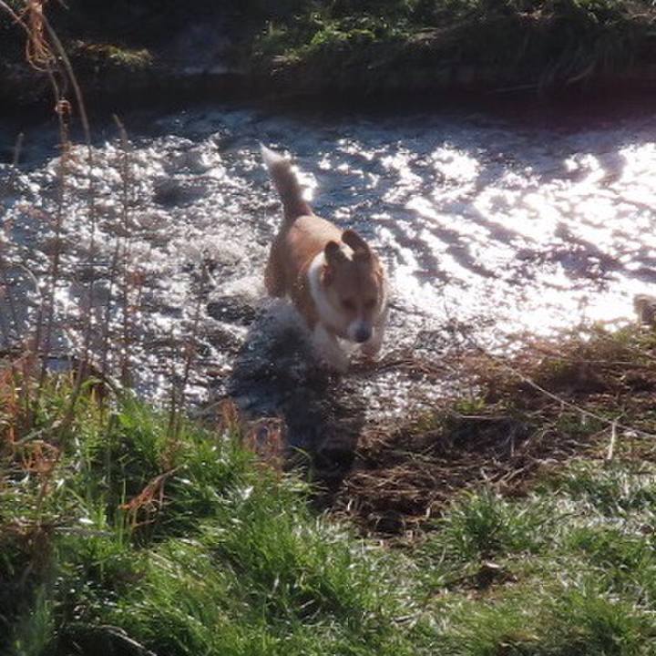 14af9886 1449 4c25 8c82 411c420a74ee 1641261111174