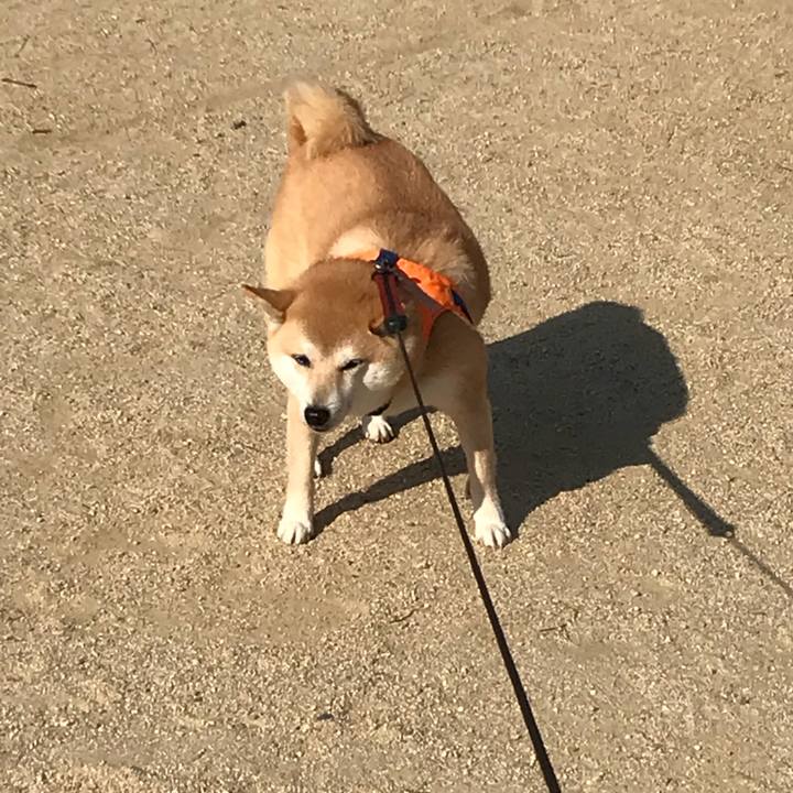 14afe938 1af3 471b 8d31 0e0e31088167 1518168689952