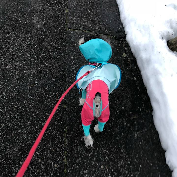 14b003a4 110f 4049 ab5e 9f028638e37f 1517750070526