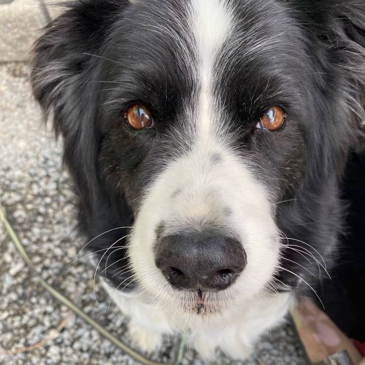 14b012ac d0cd 491d 8c1a e7a6f8b71025 1651452826894