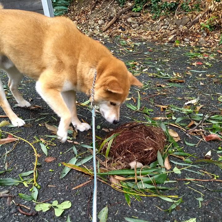 14b08322 ee2f 4849 a50a e64bd4ce5dce 1532833682986