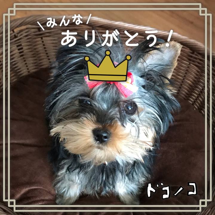 14b08933 f6f7 455c a13a e3613a93cfd9 1622940485623