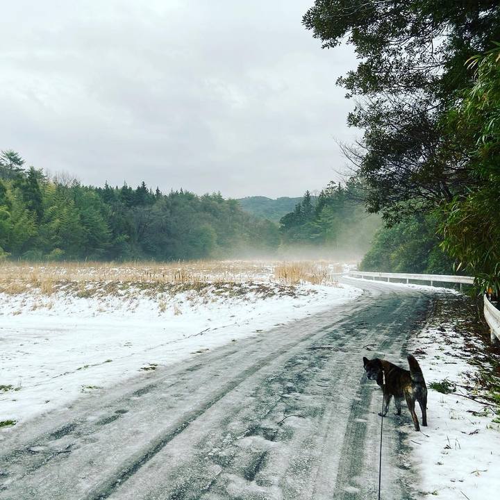 14b0b3bc 67fd 4907 bc41 03ad6123d04c 1611275503806