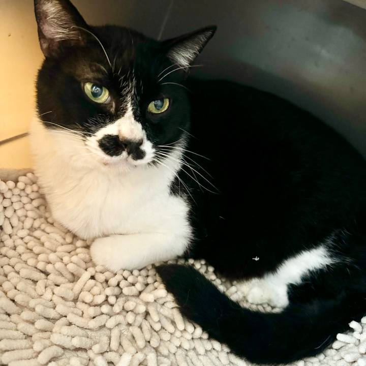 14b0badb 6617 4eb0 a94c e13274095793 1717038165726