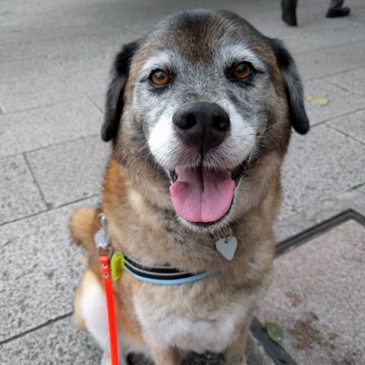 14b0ccfa 07ab 42c2 82e5 565b1dee76f0 1531392553401