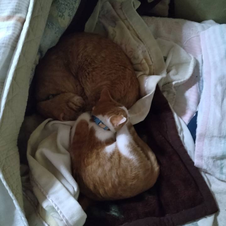 14b0ce4f 02cf 4788 bc4c a2ab694e67a0 1733274697897