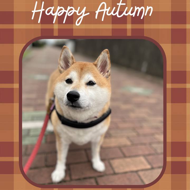 14b0e823 2cdd 47fc 917f a1adcb89be58 1699738310538