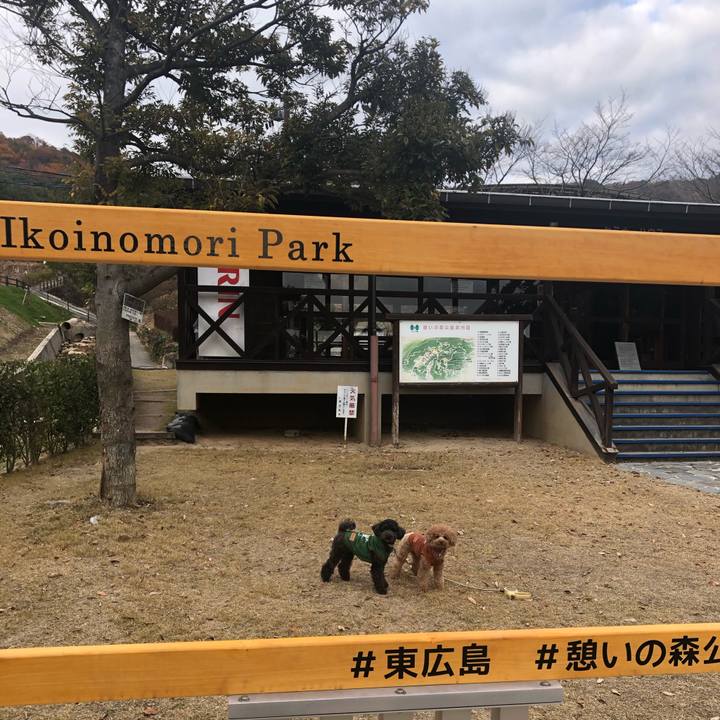 14b11136 c485 4d36 9c3f 46d8621d8c19 1608106667627