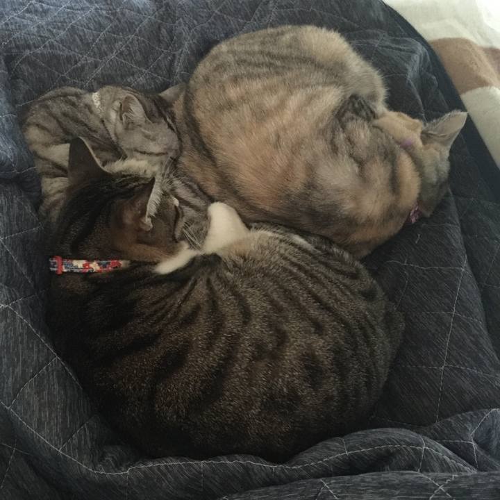 14b12827 6da1 4e0e bd1a fe2457c1e24b 1553908831782