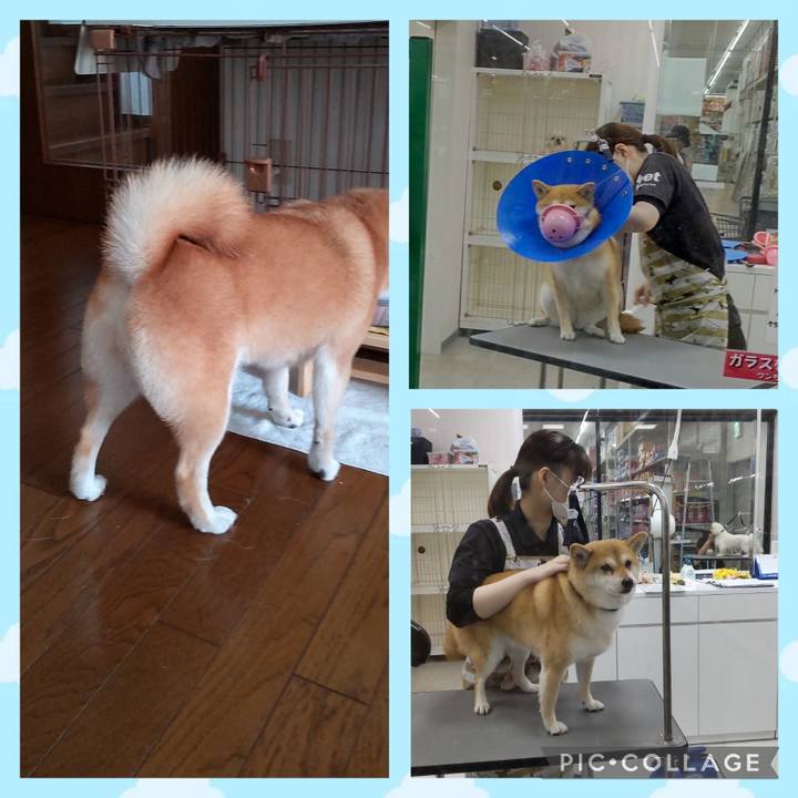 14b12e10 1a2f 405d 8e6a afb7dd79c5c7 1755488904008