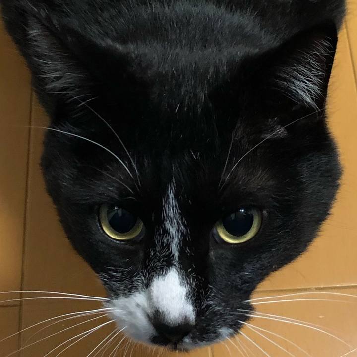 14b130e1 89ad 4498 ab43 4d36a26323e6 1587354530287