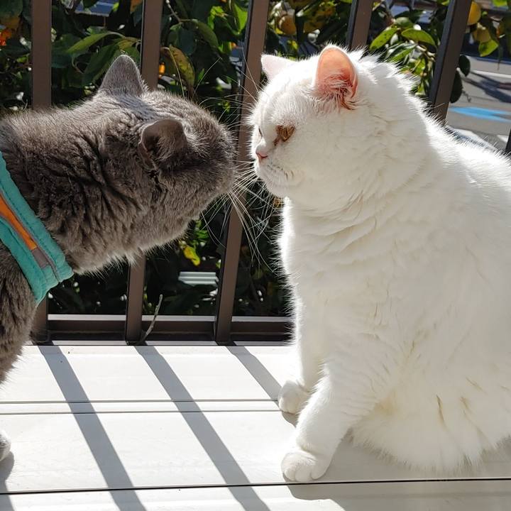 14b134f6 66b8 4d71 b9d6 aa78271e87d2 1728692734836