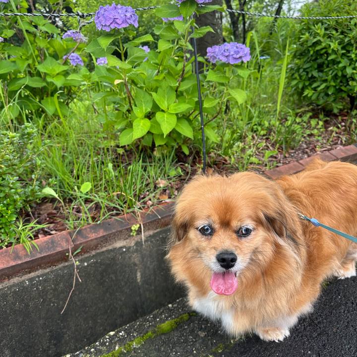 14b1545b 7cd5 4f5d 8abd ee0cff70ddc8 1749949817028