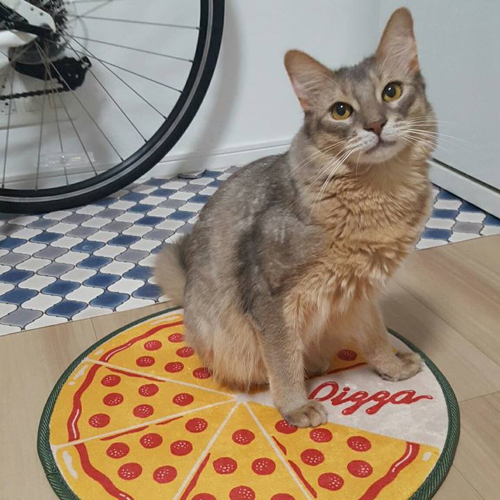 14b1ae93 fabb 406b ac3d b95d23b35061 1537521830227