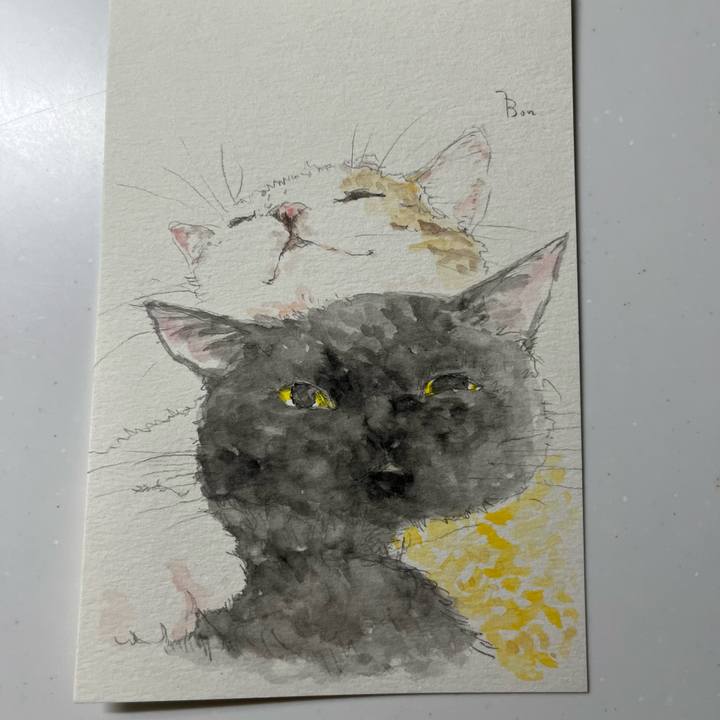 14b1af3c bc56 4392 ab03 1468871a40eb 1758536210765