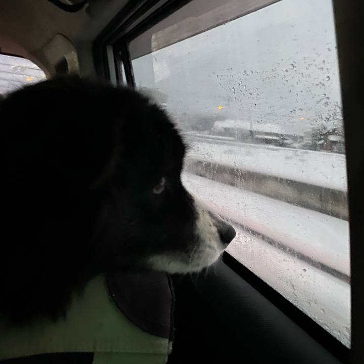 14b1bb39 8b22 4dc8 a21f 1e53787ec77e 1671832921333