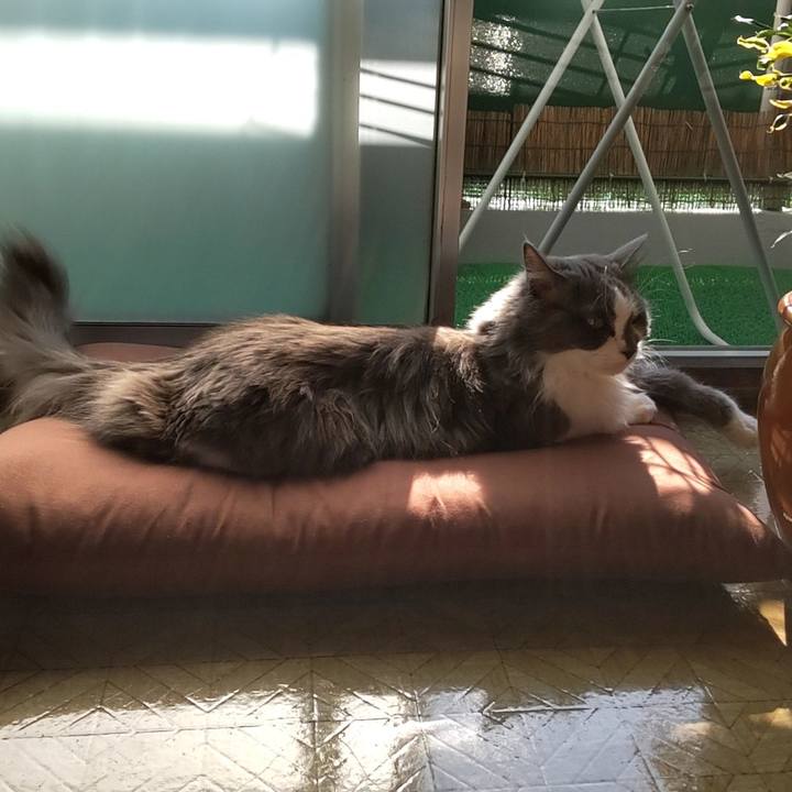 14b1bc53 3d48 43b7 b453 469ecd189325 1698987704790