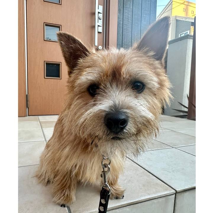 14b1d503 d3c3 430b 8b5b 5097bec9a215 1736742539769