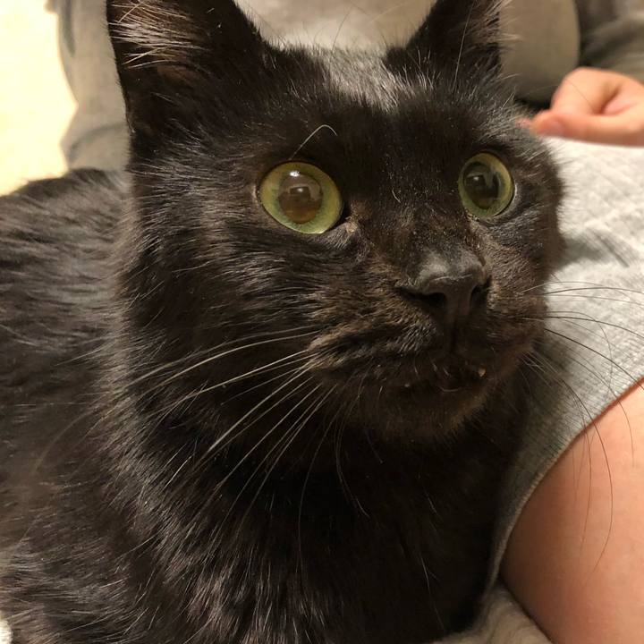 14b1e8ac 249b 4390 b9df 6c79644a6981 1574416586438