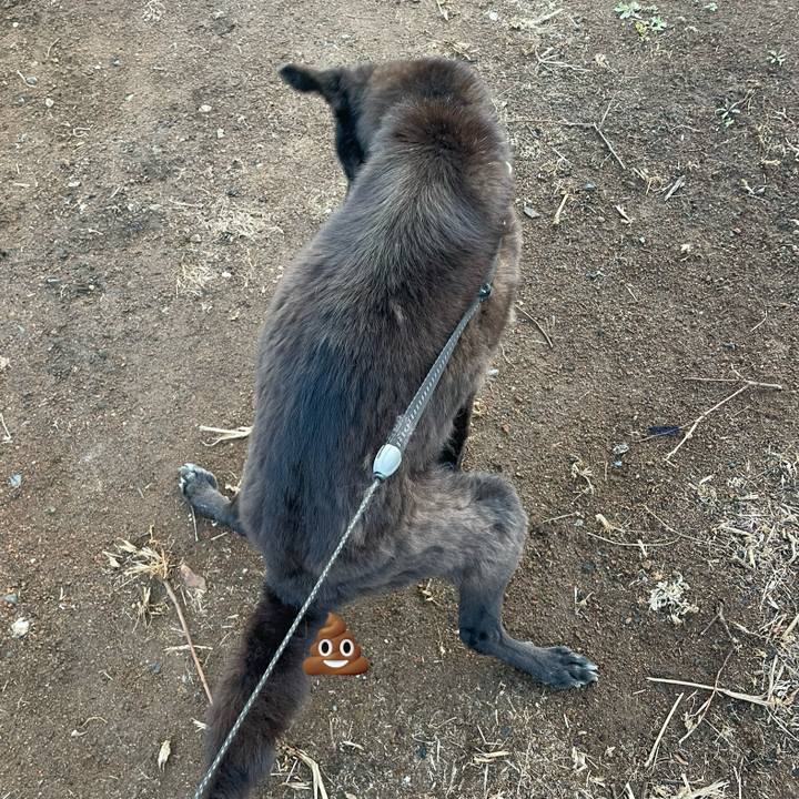 14b219e9 94b8 4065 9fbe 78a9b0cc4223 1775257086816