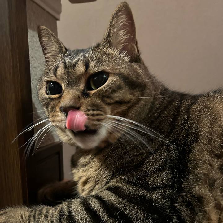 14b2340e 4a28 4370 9b71 40107c47835c 1690981852687