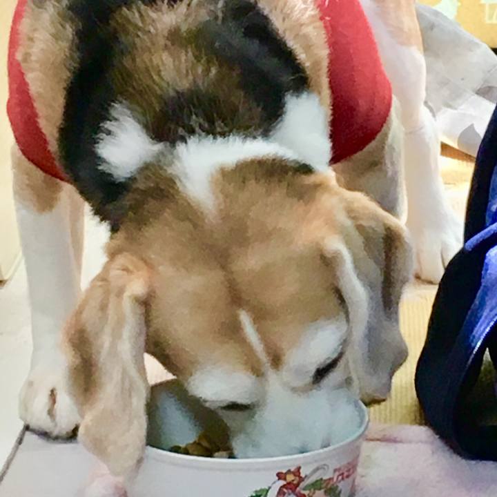 14b24999 3066 4490 a4a2 eb9e834607de 1557907364900