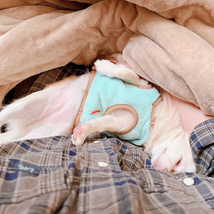 14b282e3 4c0f 41a9 8dbb 45ebe6dee276 1668680680167