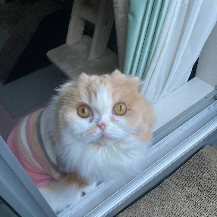 14b2a71b 8988 41b2 8542 073f6b92b445 1709175508259