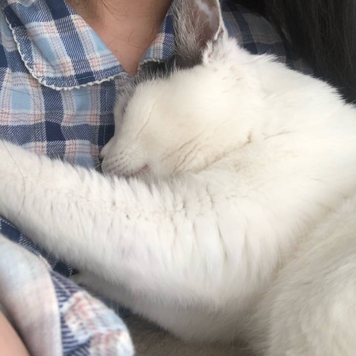 14b2bfa8 0a42 44fa a837 10a771fa110d 1574562987427