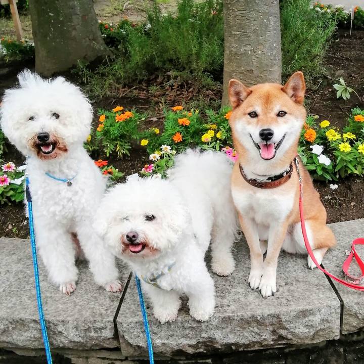 14b2e036 10ad 49ce 9ac6 69b2c951e658 1595894733208