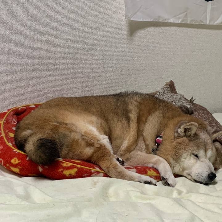 14b2e710 80b1 4ef2 bc2d c78a4251b028 1671359428268