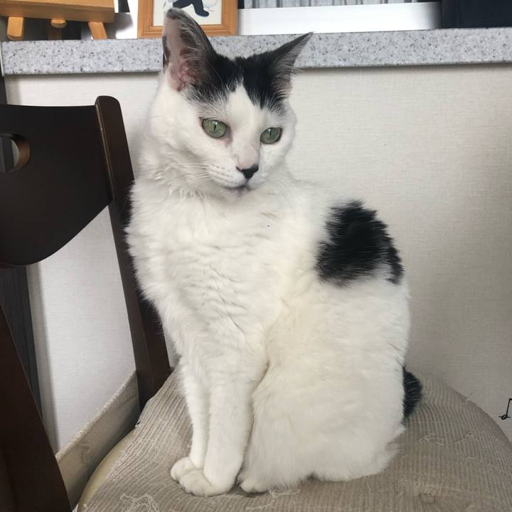 14b2ea45 df6e 4a94 8ee3 05978506015e 1589326272875