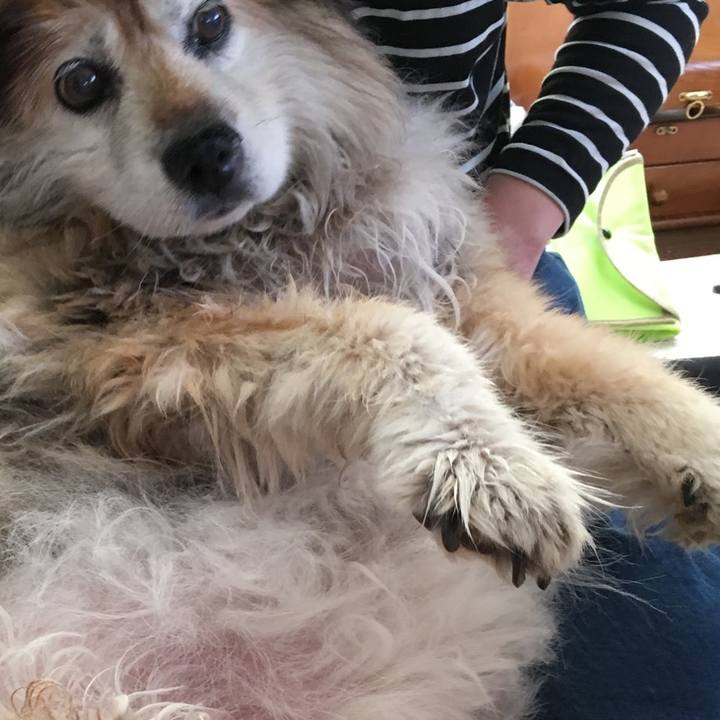 14b2eca9 349f 445d 837e 772edc250825 1608604490135