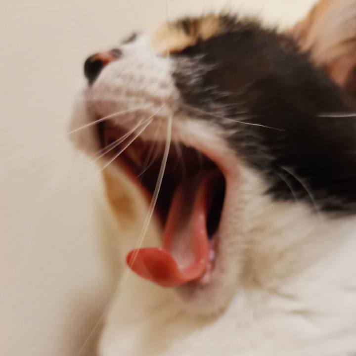 14b3159c 5d06 453f 8dff ac457fb7801e 1637552191375