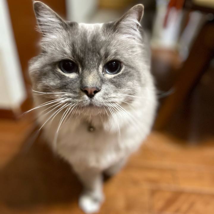 14b36ecd 712d 49c8 be18 236838b61936 1651064886577