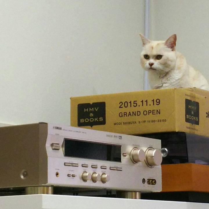 14b37be2 0a8d 4c7a b70f 5e70d61d2478 1509885182638