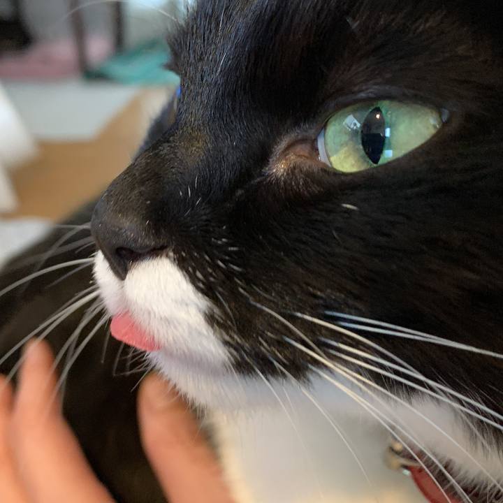 14b38183 2b11 4488 bee9 c81054ba6674 1579412028159